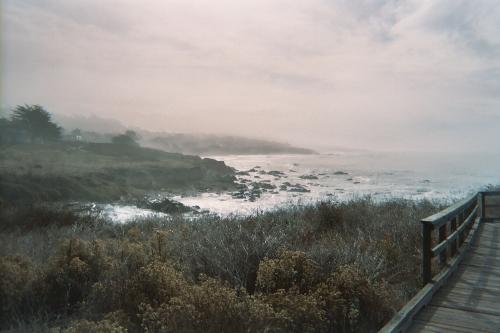 Ocean View - Early morning fog above the ocean view at Moon Stone Beach.