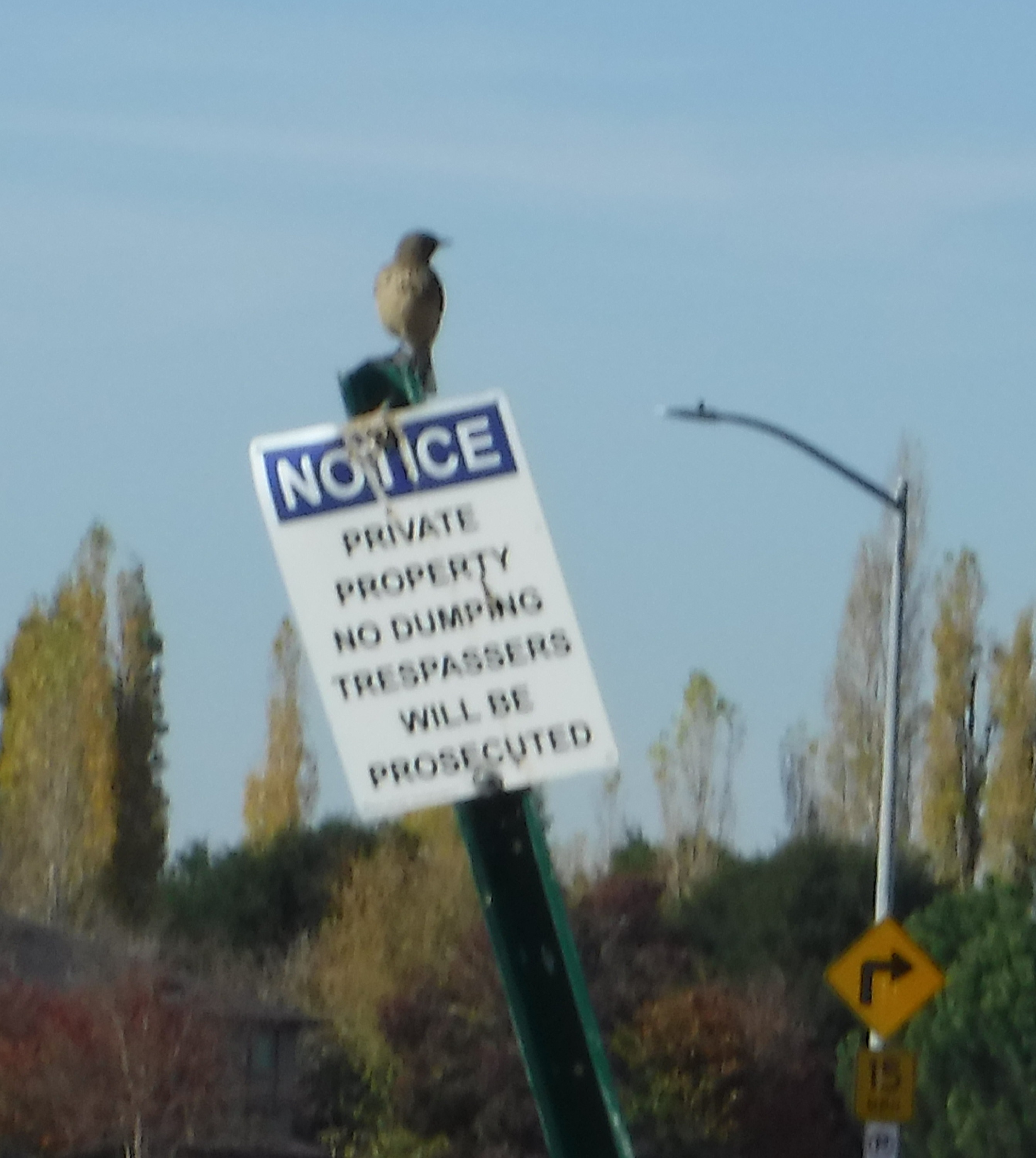 Photo taken by me 11-6-19 Photo taken by me 11-6-19