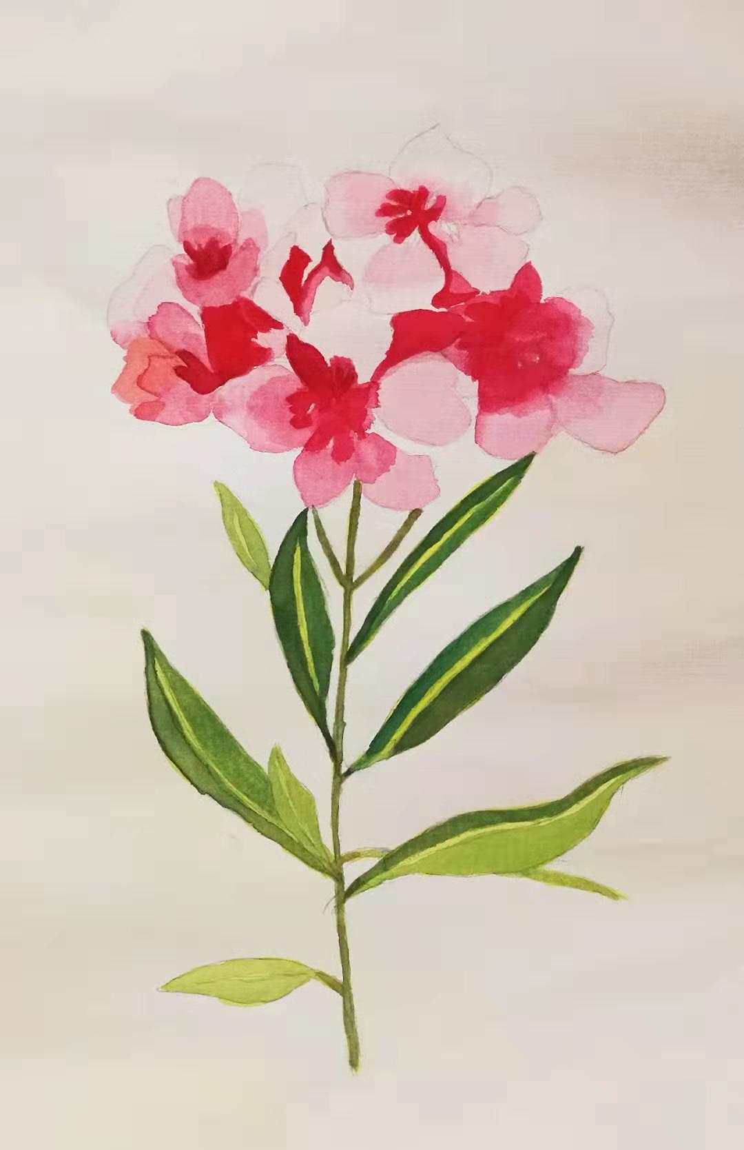 watercolor painting watercolor painting