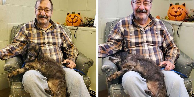 Jack the dog and his new owner in Danville Pennsylvania Jack the dog and his new owner in Danville Pennsylvania
