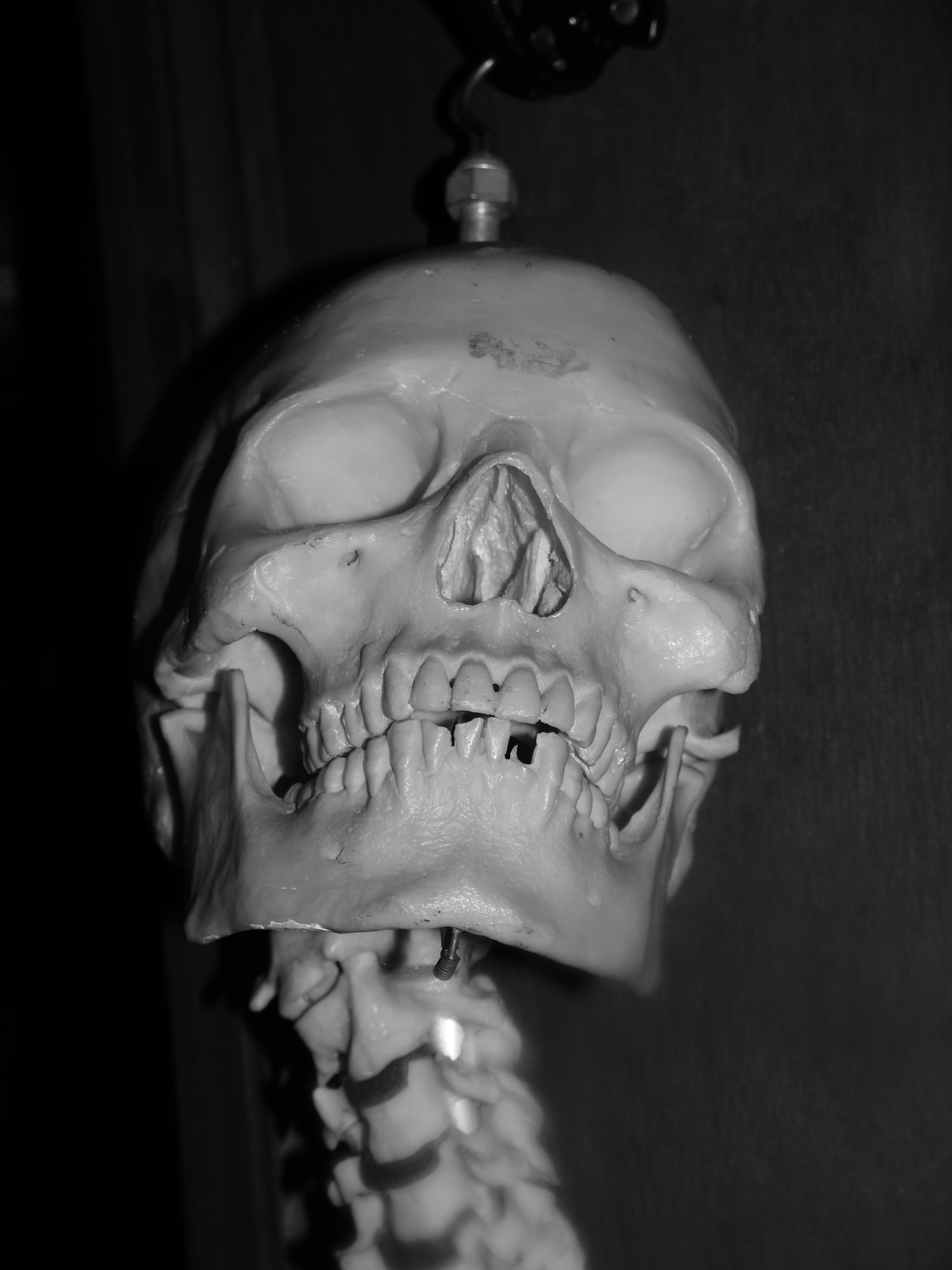 photo taken by me - skeleton - Satan's Hollow 
