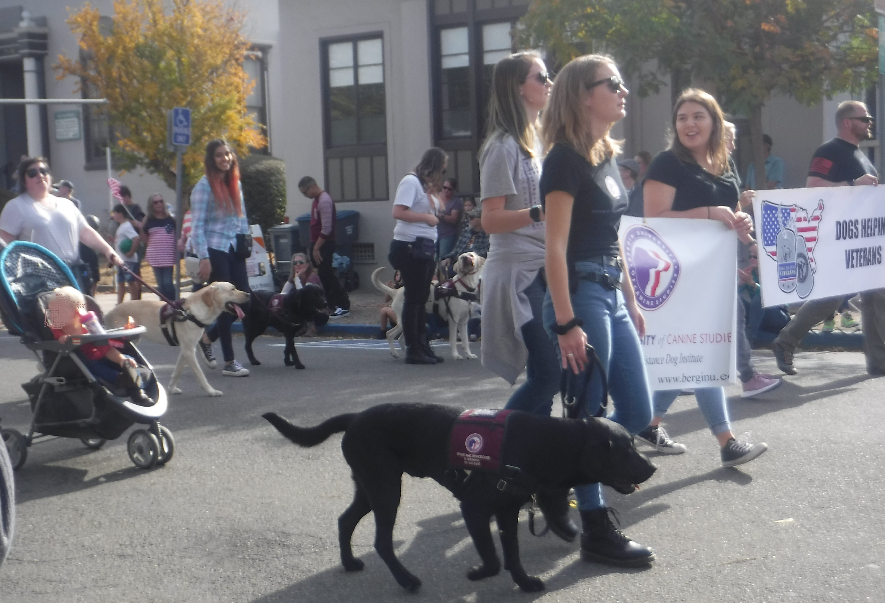 Yet another photo from the Vet's day parade Yet another photo from the Vet's day parade