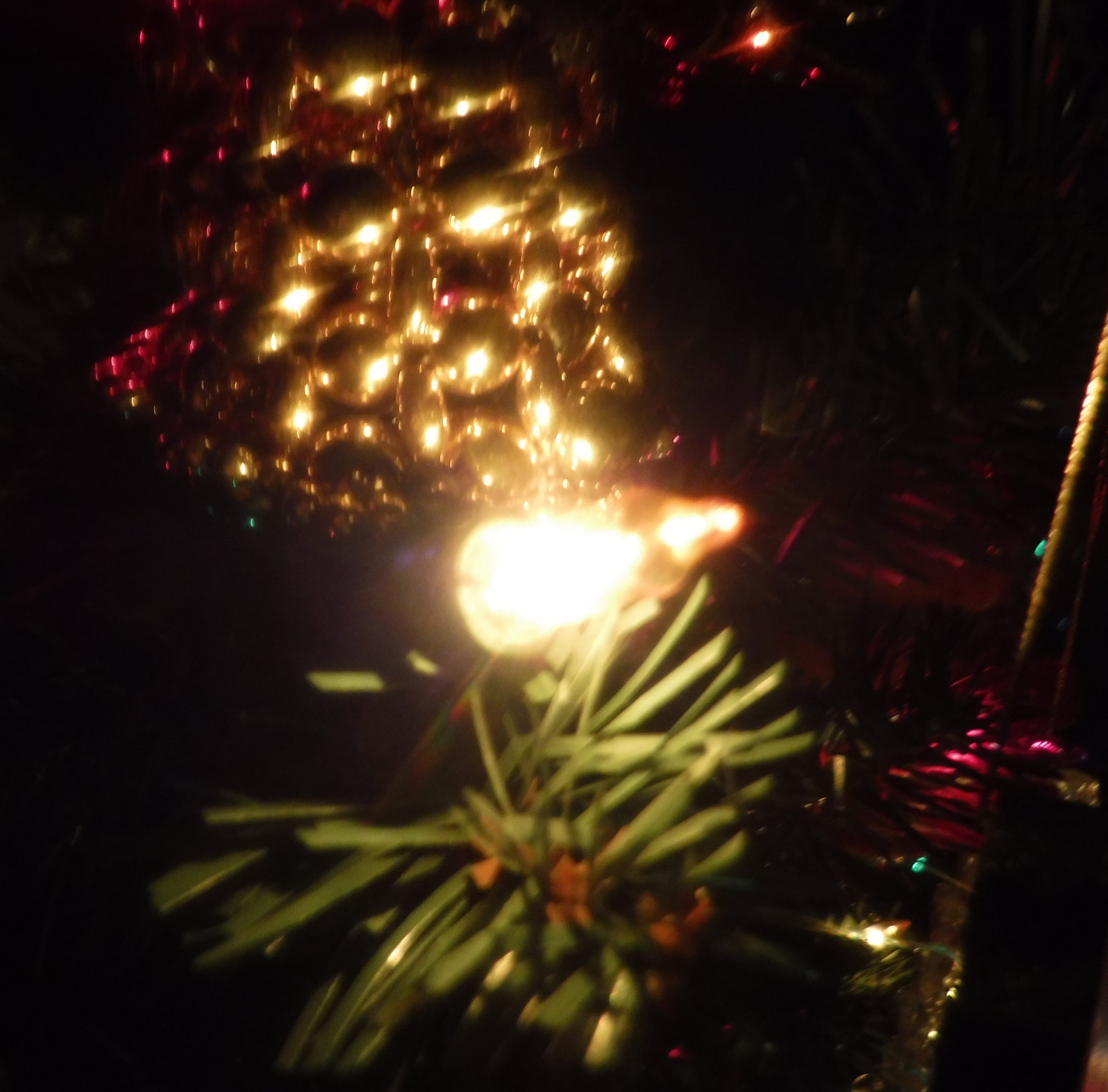 Close up photo I took of one of the tree ornaments Close up photo I took of one of the tree ornaments