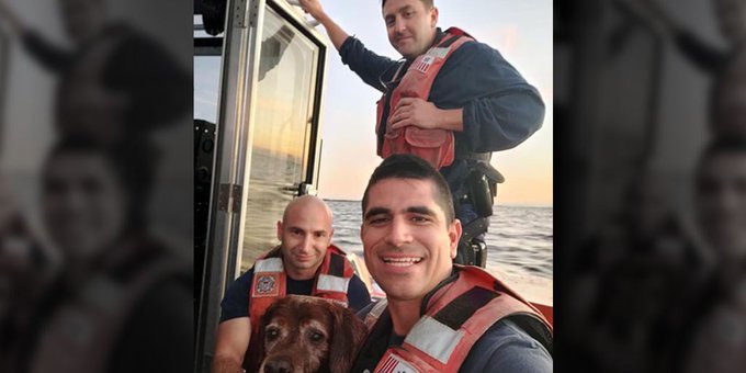 U S Coast Guard members in Florida rescue a dog that was in the ocean U S Coast Guard members in Florida rescue a dog that was in the ocean