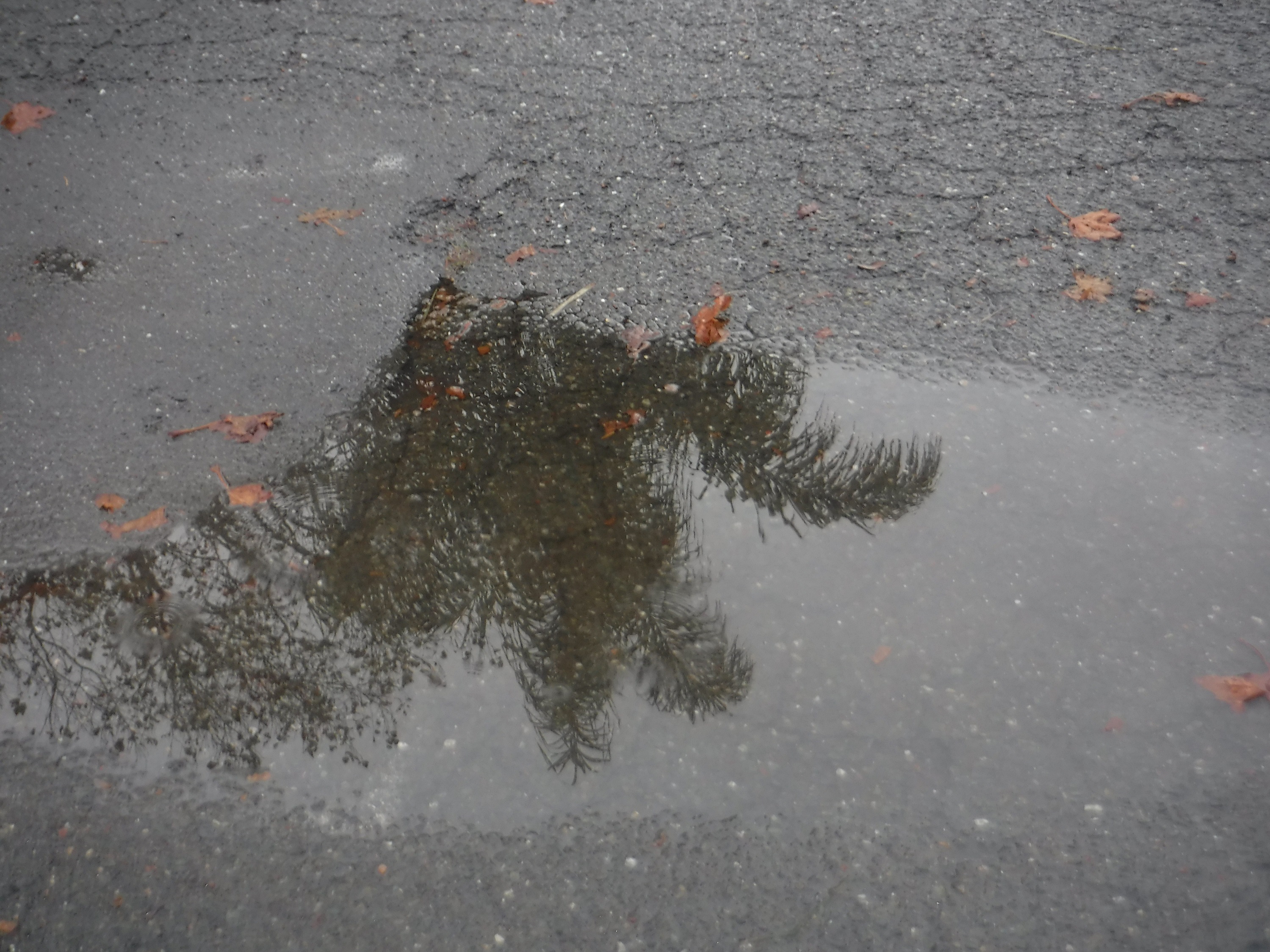 Photo taken by me
