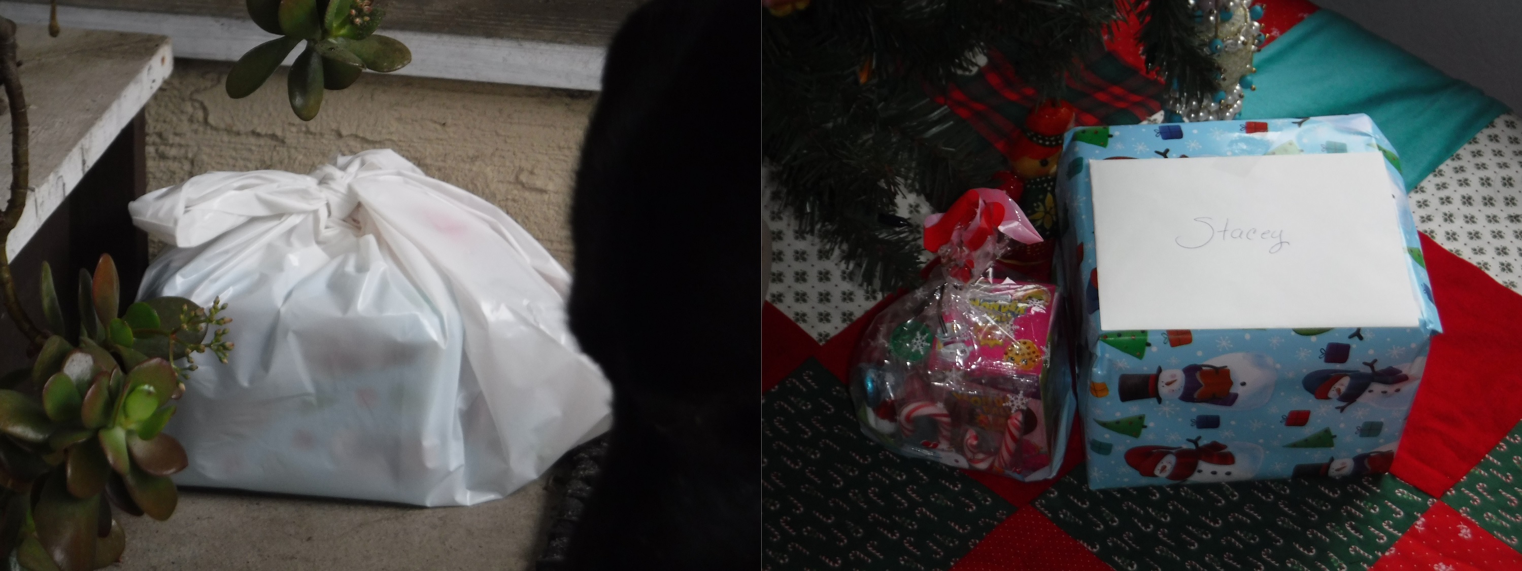 Photos I took of the "mystery package" on the porch and under the tree