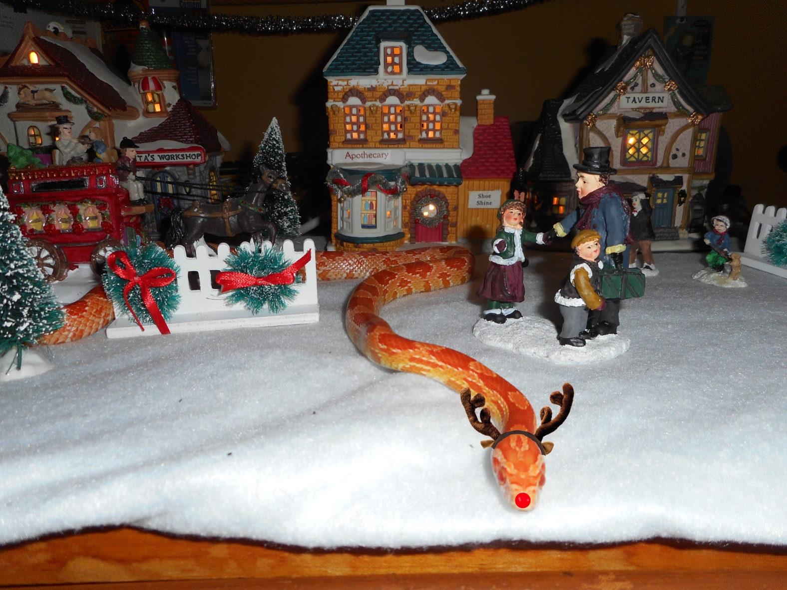 Merry Christmas from Spaghetti the Red Nosed Corn Snake