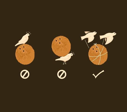 Monty Python migratory swallows