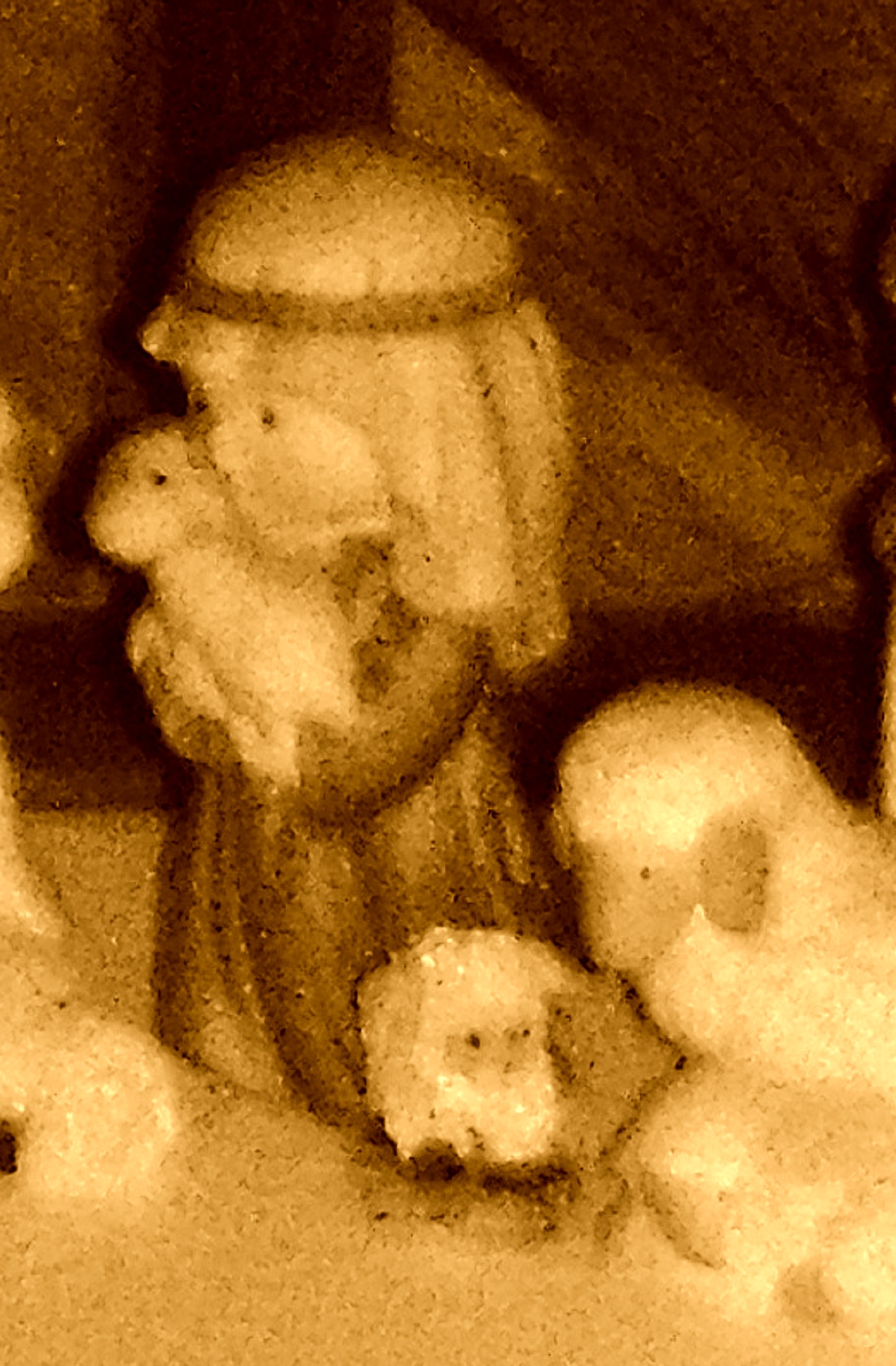 Photo taken by me cropped with sharpen and sepia Effects