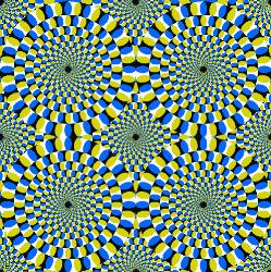 Rotate - Rotate