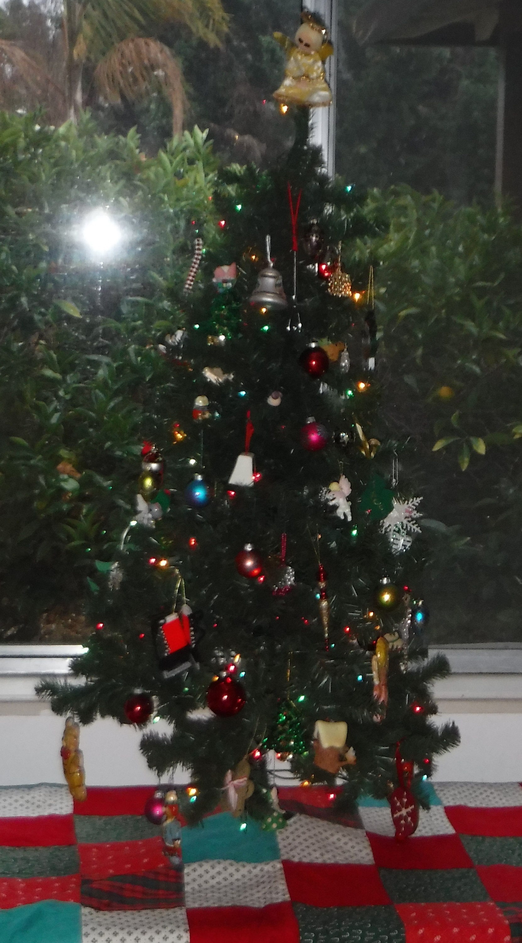 Photo I took of the tree Photo I took of the tree