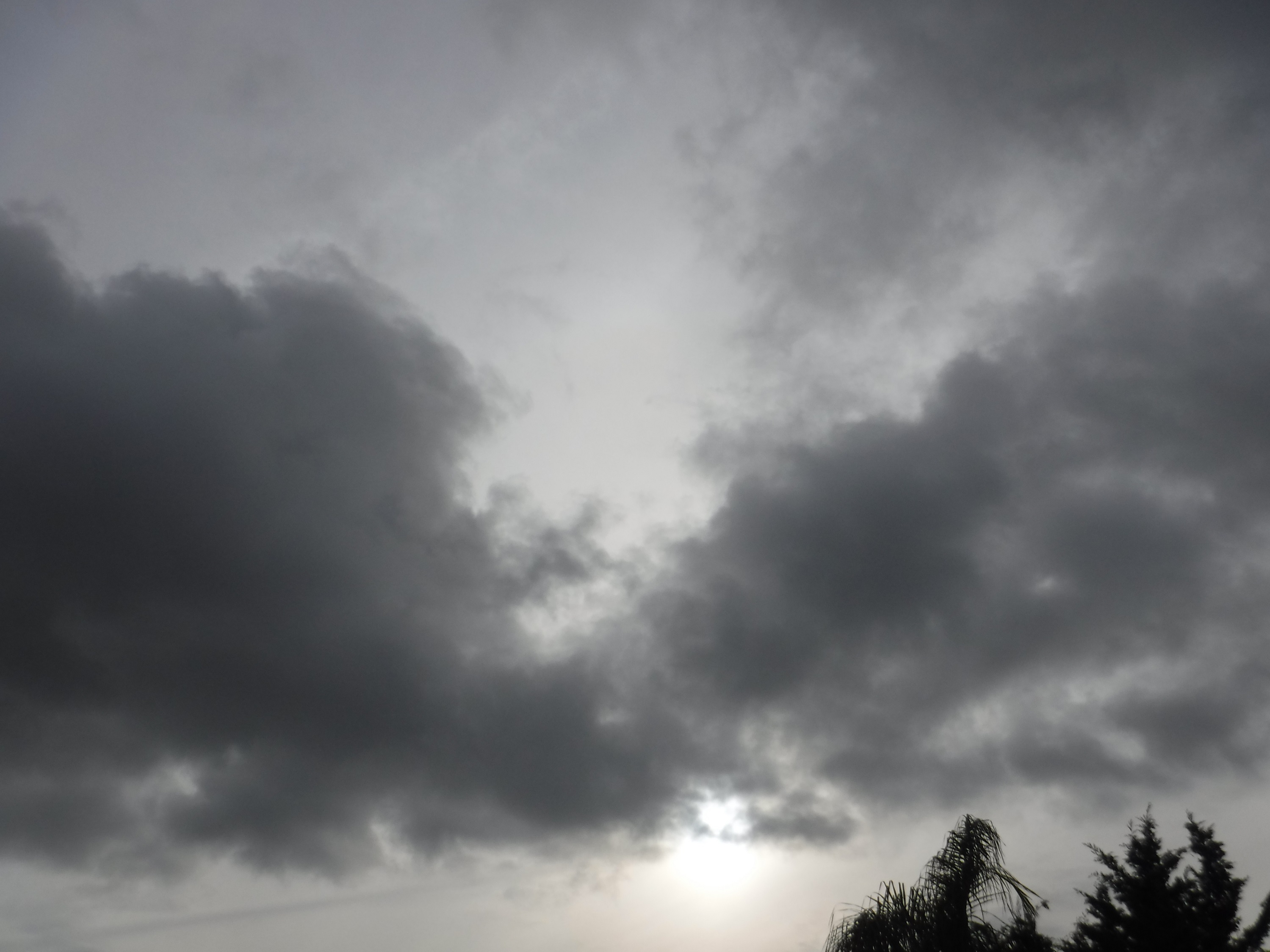 Photo taken by me 12-24-19