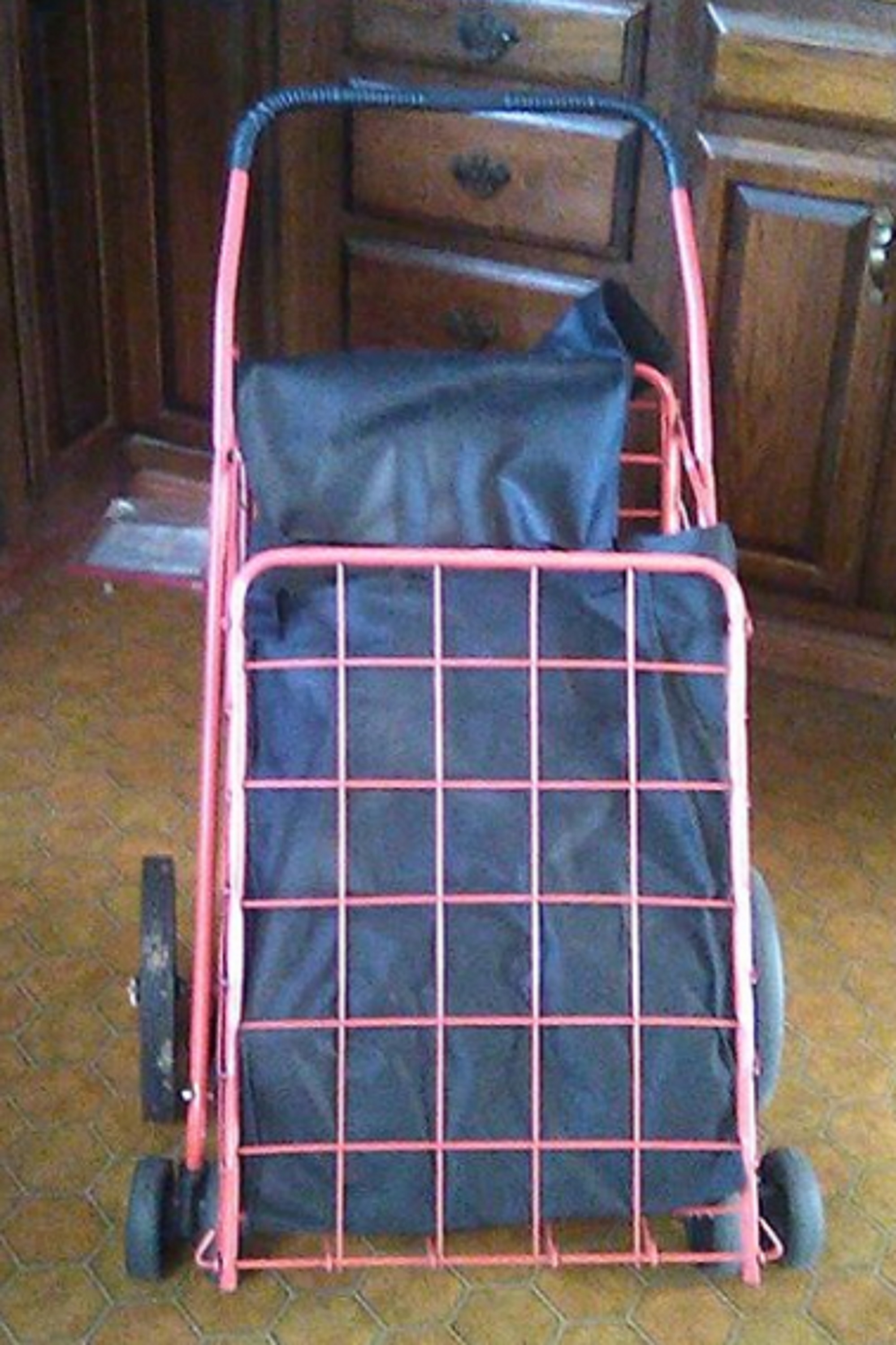 Photo I took with my phone of my personal grocery cart Photo I took with my phone of my personal grocery cart