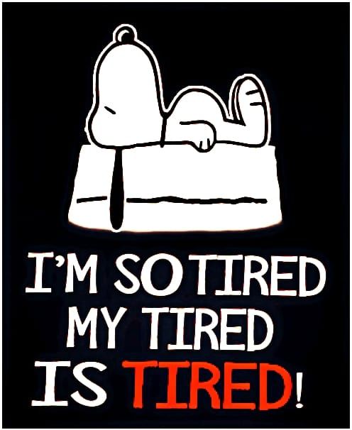 https://www.lovethispic.com/image/348303/i%27m-so-tired%2C-my-tired-is-tired%21