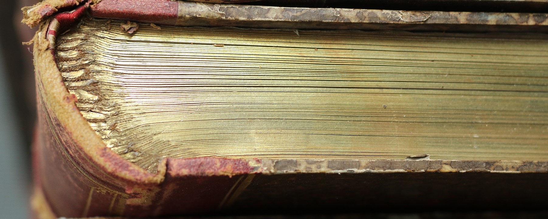 This was an old and valuable book that someone had destroyed, by tearing out a page.. This was an old and valuable book that someone had destroyed, by tearing out a page..
