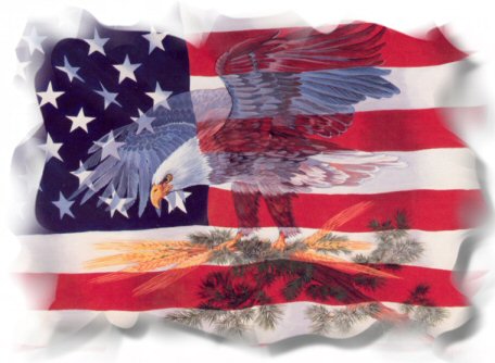 American flag - Here is an american flag with an eagle.