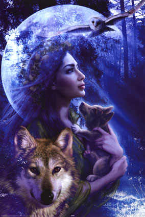 Indian and Wolf - Here is a really cool indian and wolf pic. I like it because my mom has always collected and loved pictures and collectables of Indian stuff.