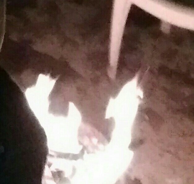 Lohri, bonfire Lohri, bonfire