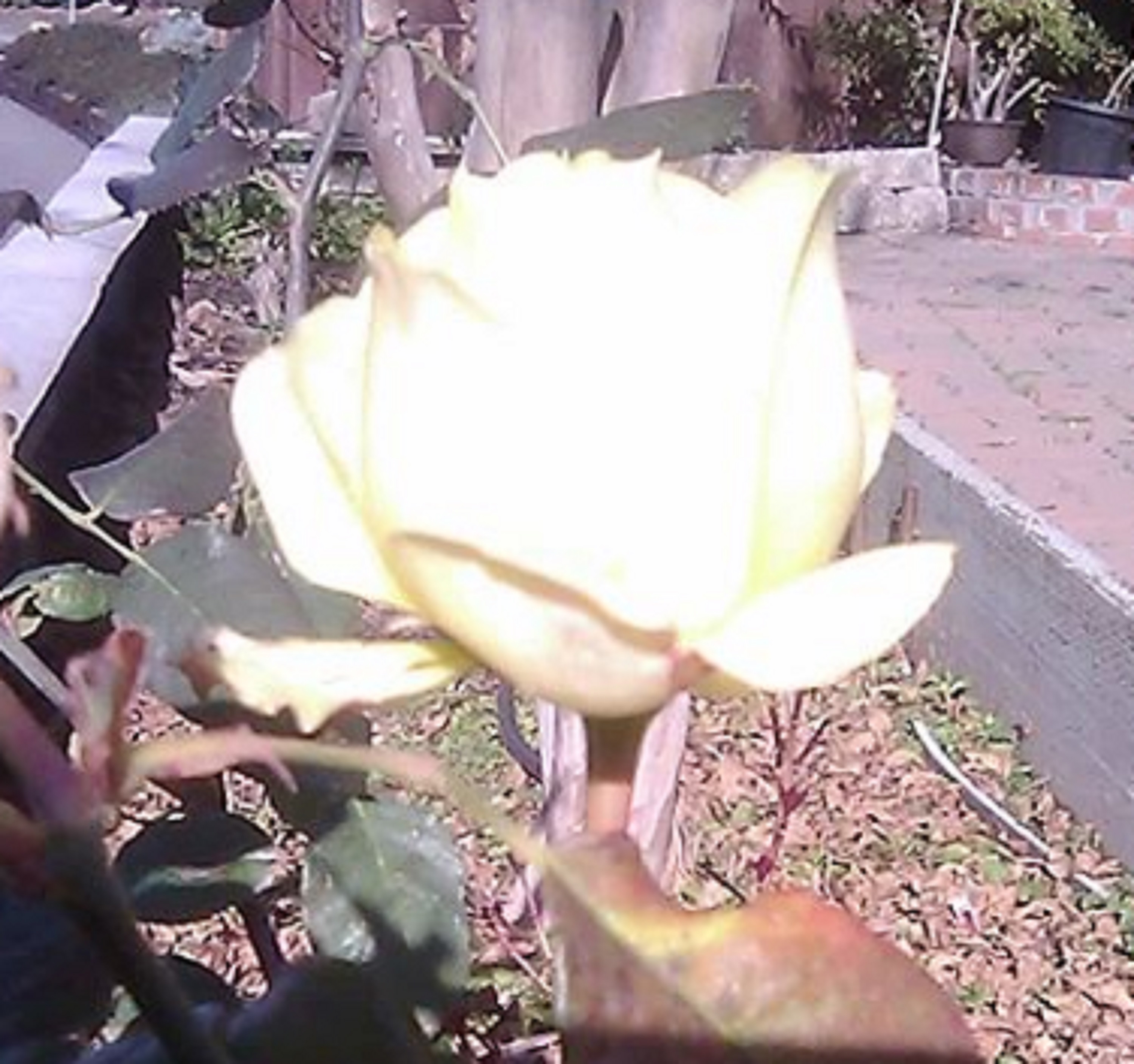 Taken by me Taken by me