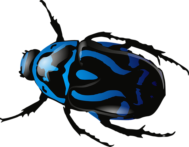 bug bug