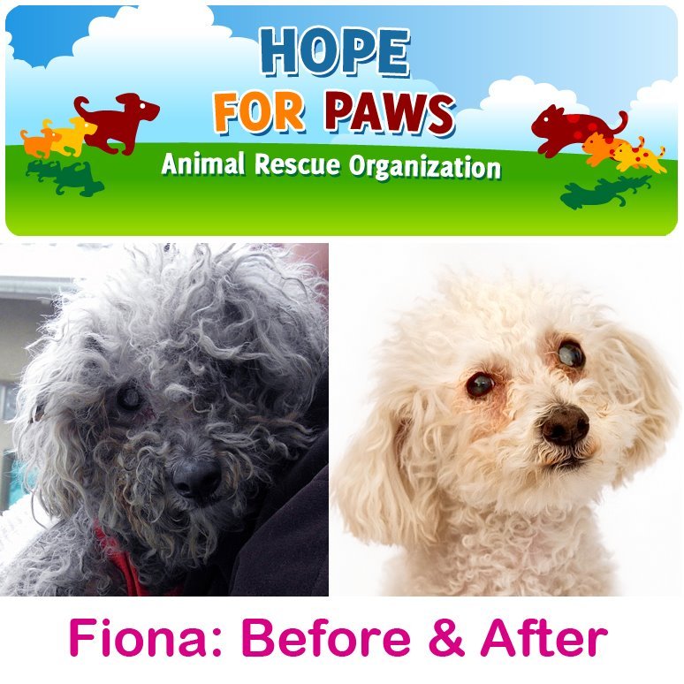 Hope for Paws (before and after rescue) Hope for Paws (before and after rescue)