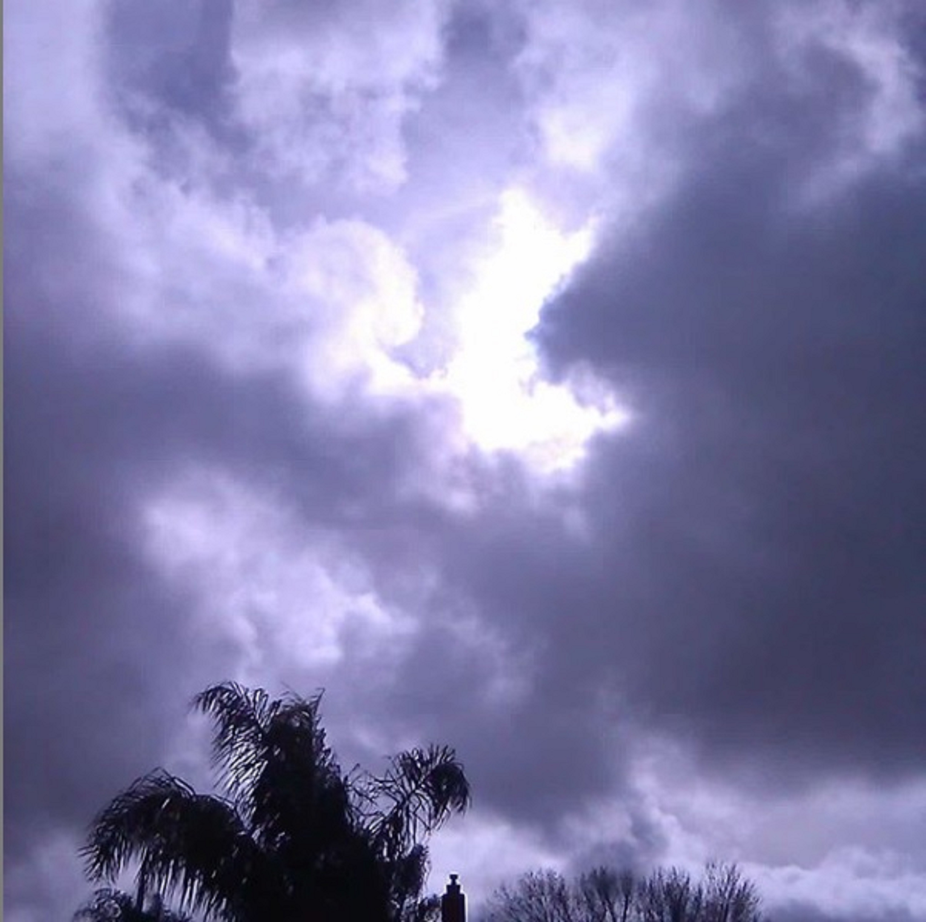 Photo taken by me 1-27-20