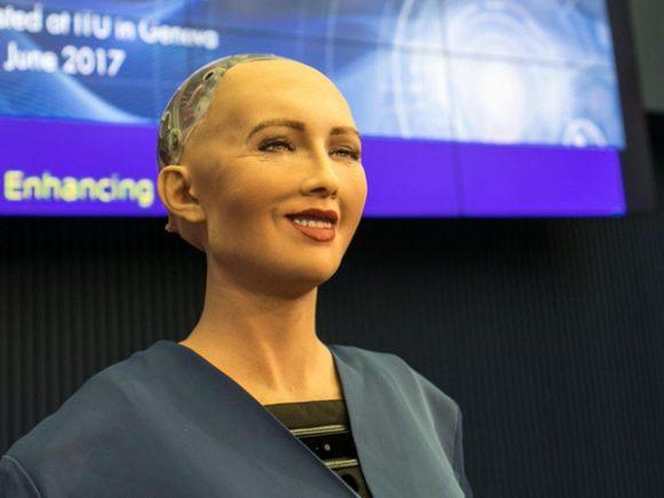 Sophia the Humanoid Robot
