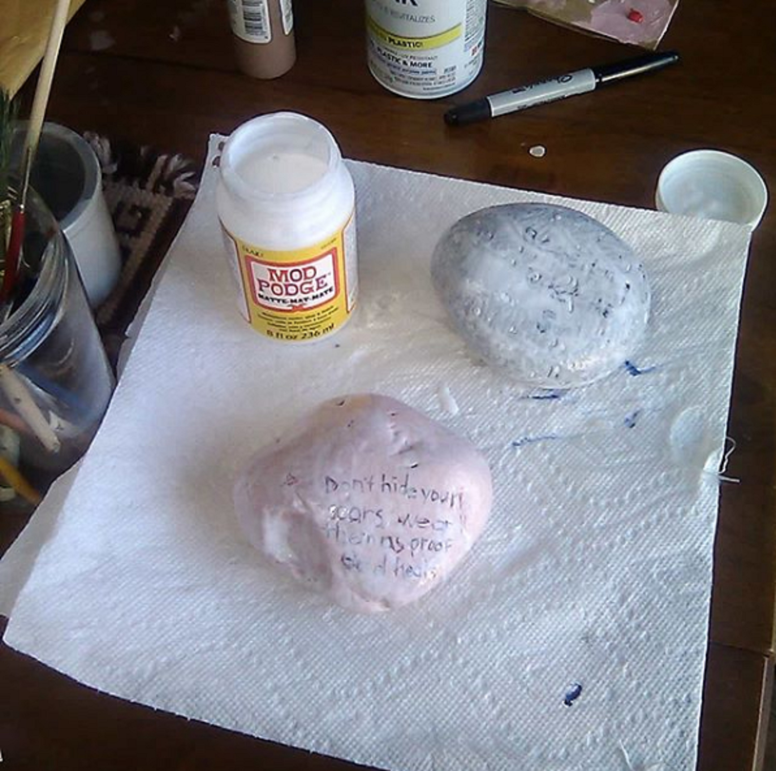 Photo I took of the rocks that I Mod Podged the other side of Photo I took of the rocks that I Mod Podged the other side of