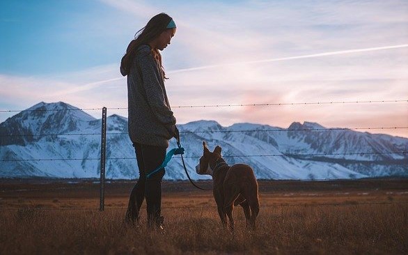 Image by Pexels from Pixabay Image by Pexels from Pixabay