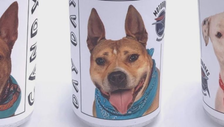 A beer can image is responsible for a dog and owner reunion A beer can image is responsible for a dog and owner reunion