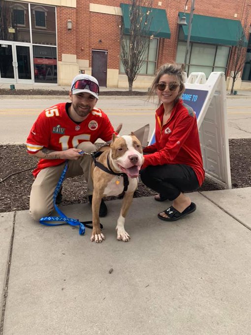 Kansas City Chiefs fans with their pets Kansas City Chiefs fans with their pets