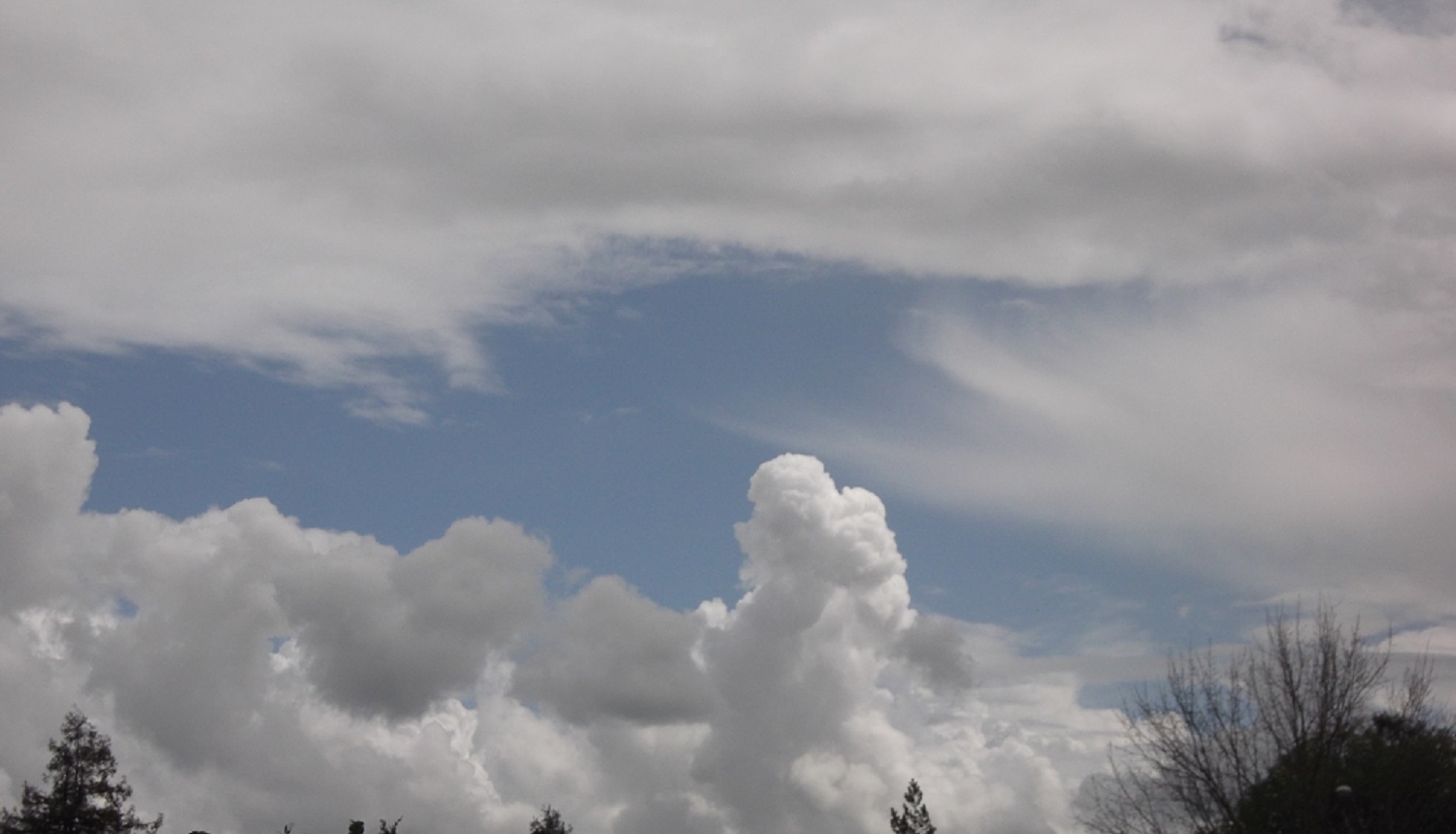 Photo taken by me 3-31-13