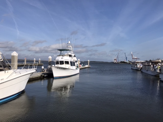 Morning in Amelia Island, Florida, near Jacksonville. Photo taken by and the property of FourWalls. Morning in Amelia Island, Florida, near Jacksonville. Photo taken by and the property of FourWalls.