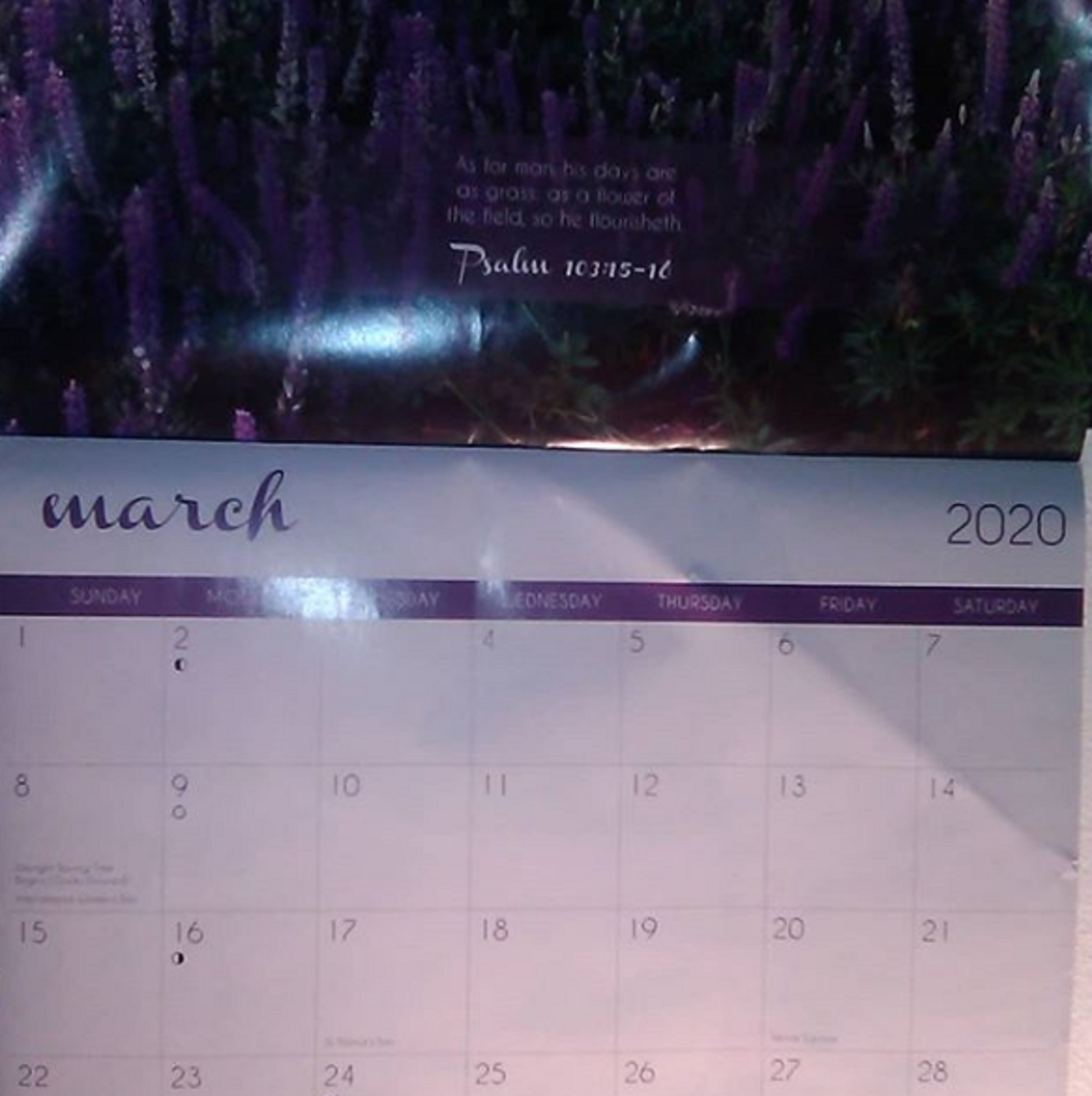 Photo I took of the calendar in my bedroom Photo I took of the calendar in my bedroom