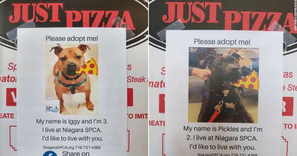 A marketing idea that should be used by many companies. A marketing idea that should be used by many companies.