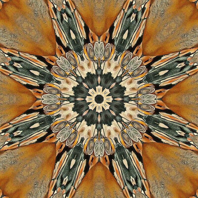 Photo I took of new Easter dress with Kaleidoscope and Picasso effects Photo I took of new Easter dress with Kaleidoscope and Picasso effects