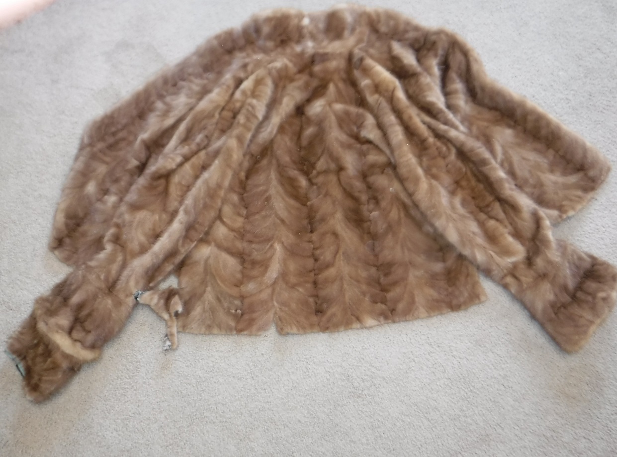 Mink coat that I took photos of Mink coat that I took photos of