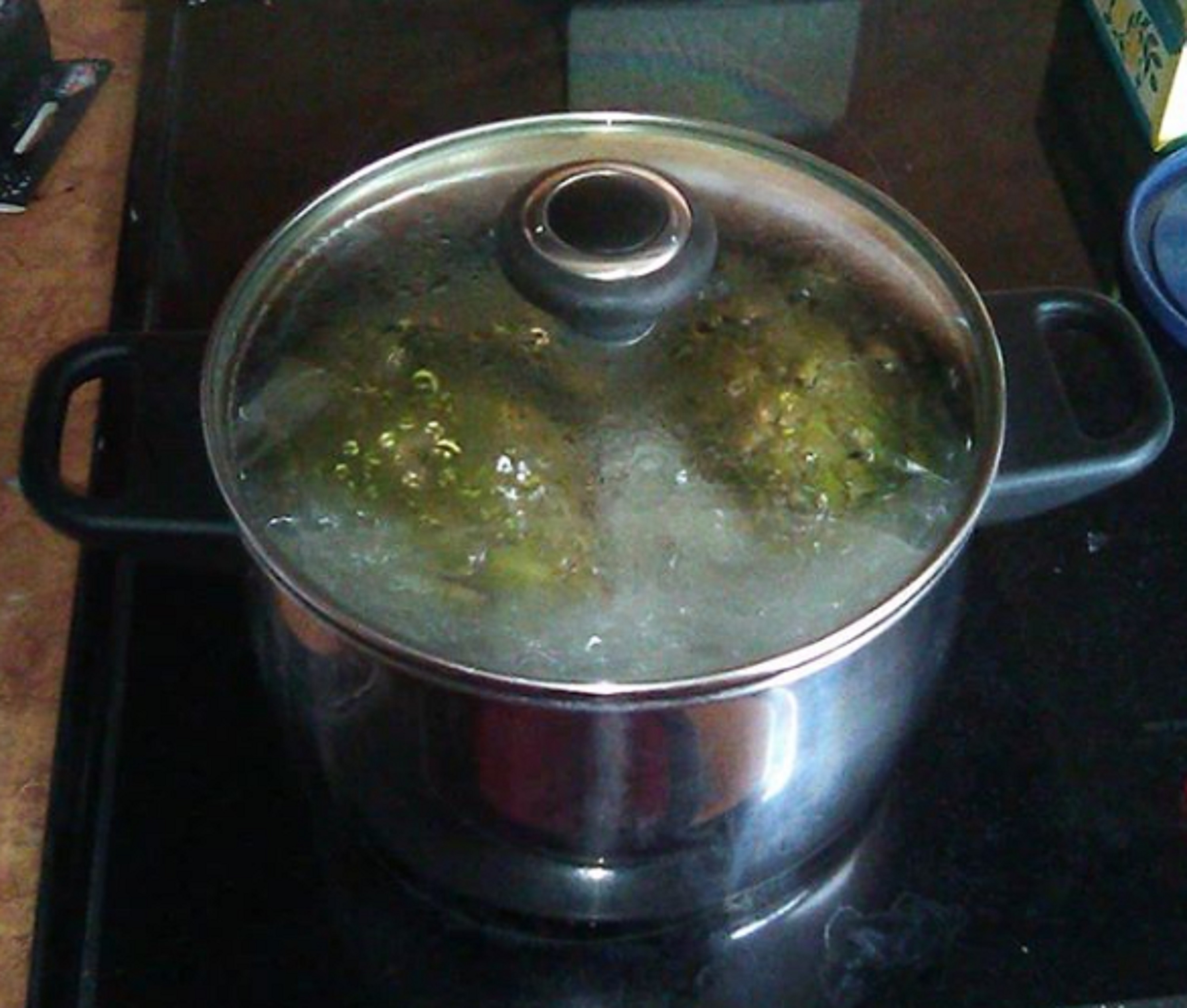 Photo I took of the Artichokes cooking on the stove
