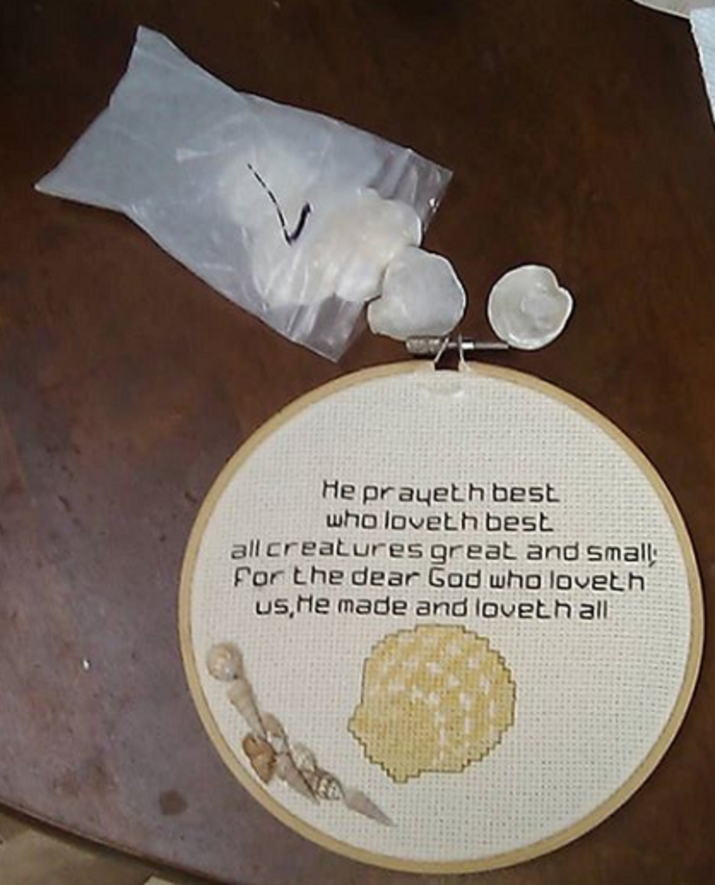 Photo I took of my cross stitch with new shells Photo I took of my cross stitch with new shells