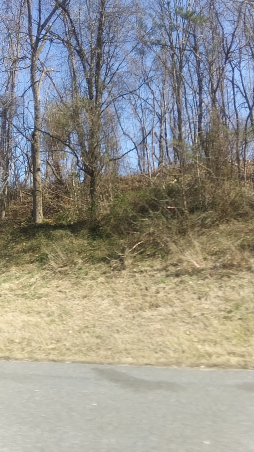 Photo Credit: I snapped this a little while ago in Kingsville, MD. Photo Credit: I snapped this a little while ago in Kingsville, MD.