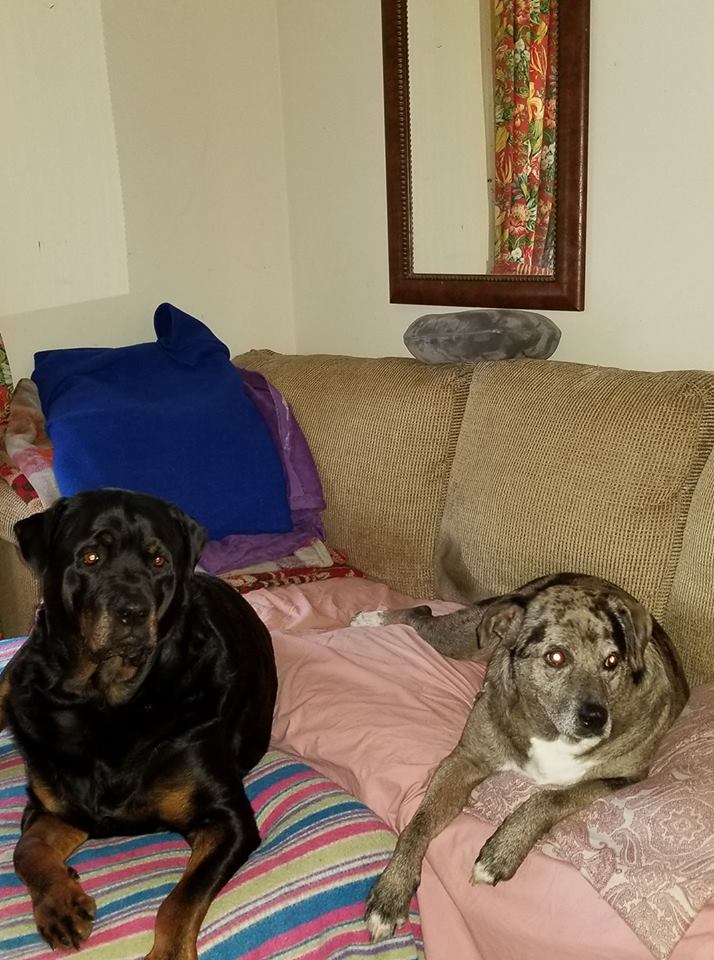 Kissy and Camie 2017 Kissy and Camie 2017