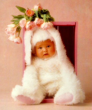 Beautiful baby - Just a beautiful baby photo from anne geddes