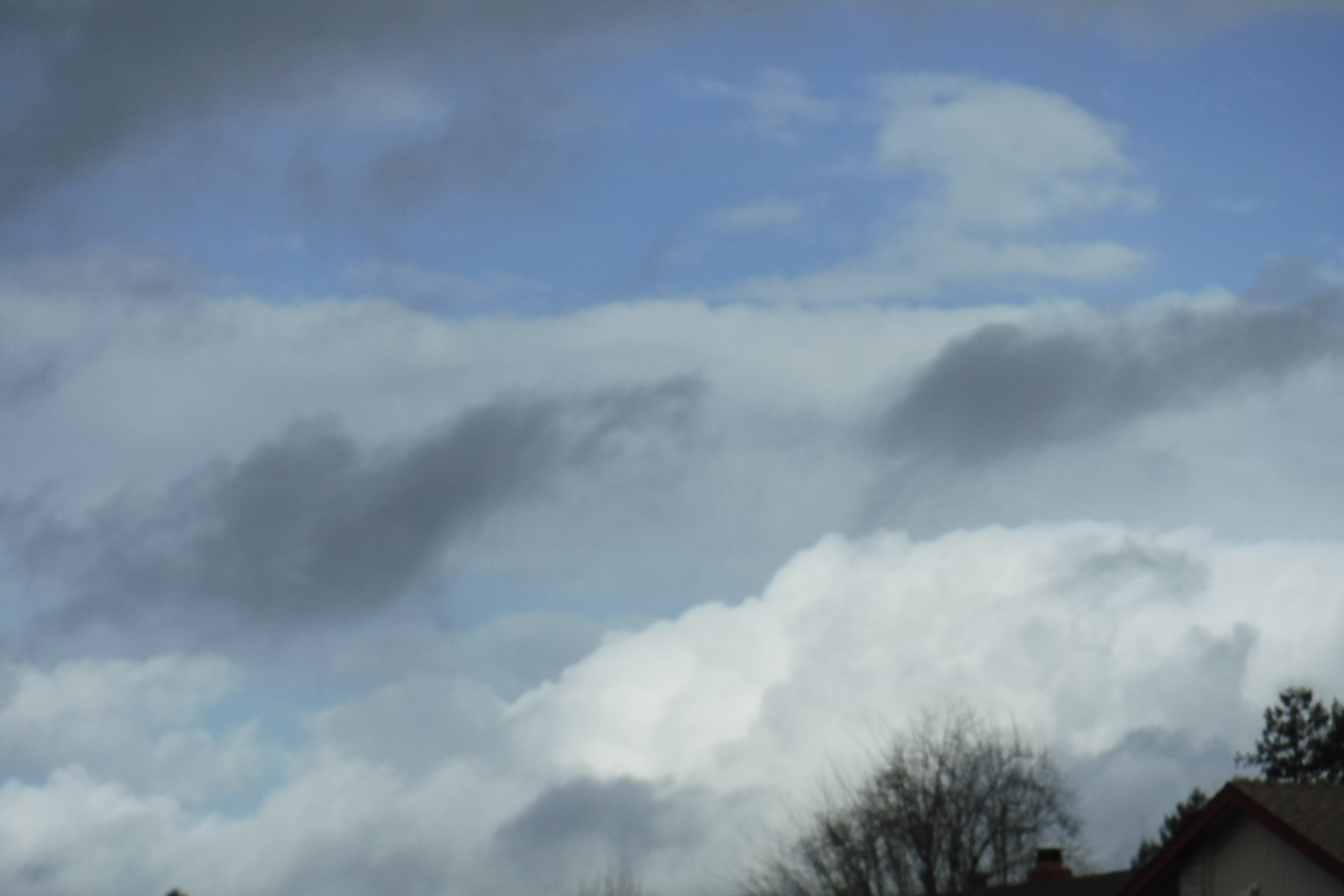 Photo taken by me 3-14-20 Photo taken by me 3-14-20