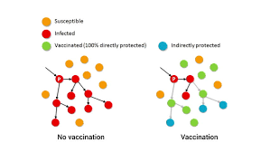 herd immunity