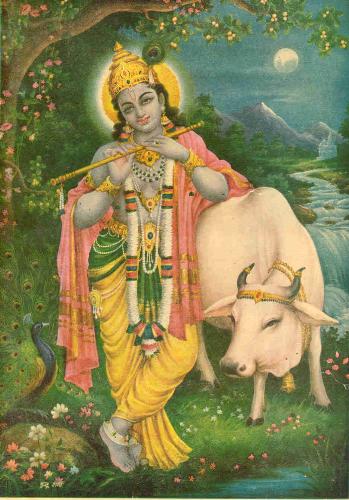 Krishna with surabhi - This is one of my favorite paintings, Lord Krishna standing next to a beloved cow and peacock in the moonlight while playing His flute. The essence of devotional meditation.