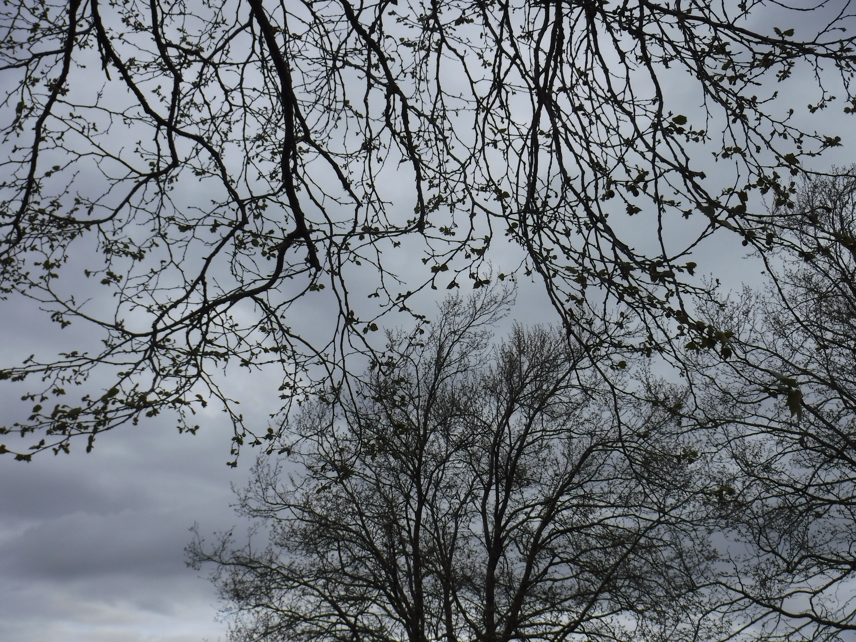 photo taken by me