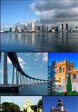 The skyline of San Diego California The skyline of San Diego California