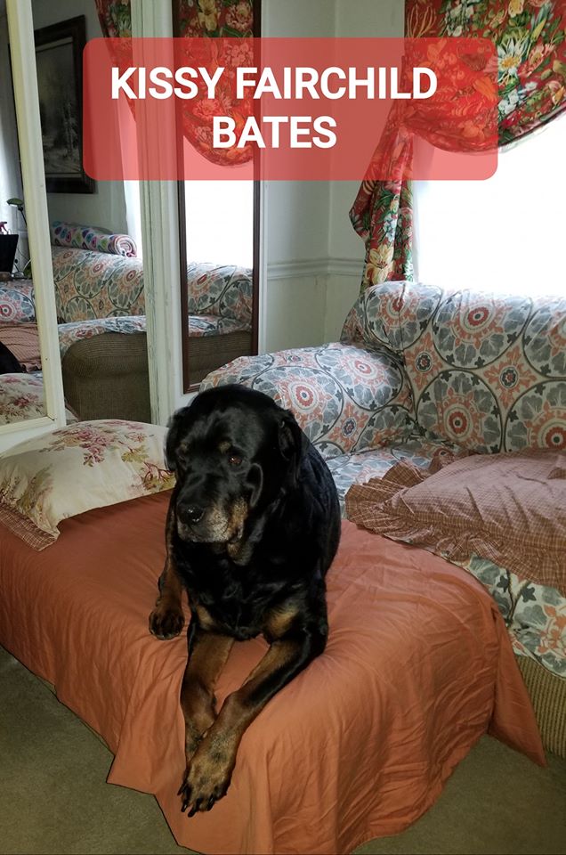 Kissy Fairchild Bates, one spoiled Rottie 3-16-2020 Kissy Fairchild Bates, one spoiled Rottie 3-16-2020