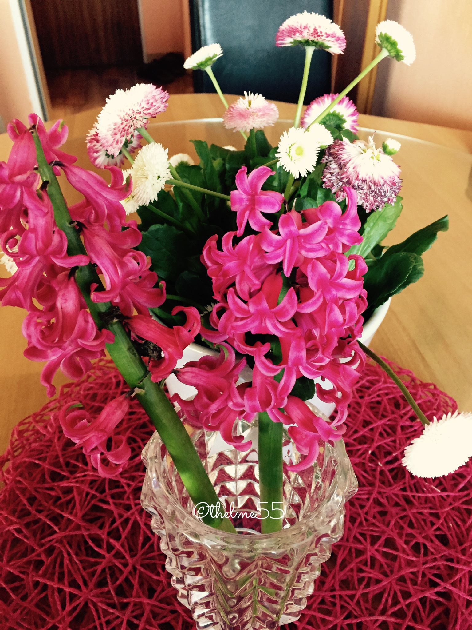 My hyacinth and English daisy vase of flowers My hyacinth and English daisy vase of flowers