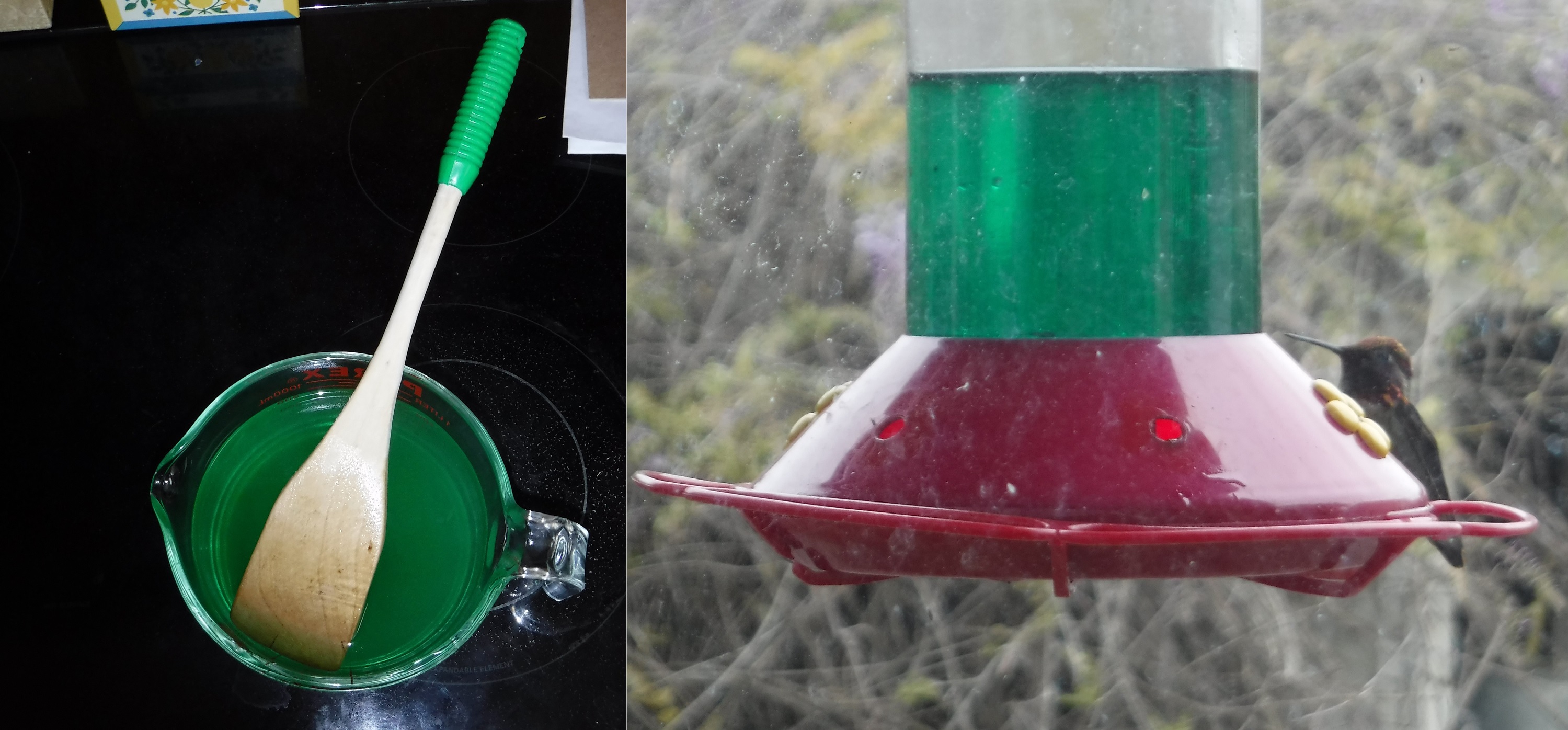 Collage I made with photo from today of green food and last yer of Hummingbird at feeder) Collage I made with photo from today of green food and last yer of Hummingbird at feeder)